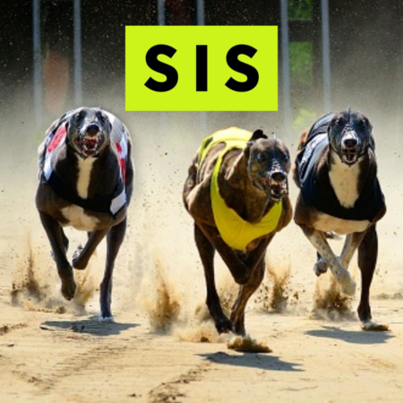 Enhancing the UK Greyhound Racing Experience: SIS and Premier Greyhound Racing Announce Updated Schedule